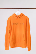 Load image into Gallery viewer, Men’s College Hoodie
